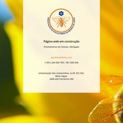 Orgãos Sociais, Serviços, O que fazemos, Formação Orgãos Sociais, Serviços, O que fazemos, Formação