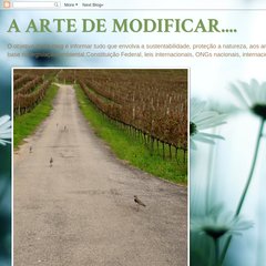 A ARTE DE MODIFICAR.... A ARTE DE MODIFICAR....