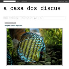 acasadosdiscus.blogspot.com street photography, falta de tempo crónica, 23:54 acasadosdiscus.blogspot.com street photography, falta de tempo crónica, 23:54