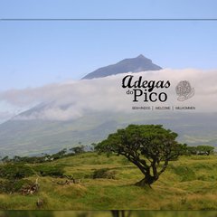  Rates and Reservations, Promotions, Garajau, Lagar