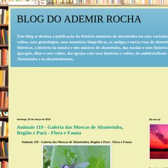 BLOG DO PROF. ADEMIR ROCHA