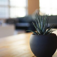 adesivojateado.com Imprimir, Contate-nos, Mensagens adesivojateado.com Imprimir, Contate-nos, Mensagens