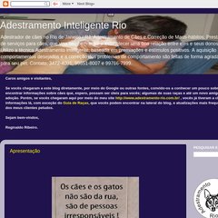 Adestramento Inteligente Rio Adestramento Inteligente Rio