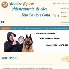 adestreagora.com adestramento de cães, adestramento são paulo, método clicker adestreagora.com adestramento de cães, adestramento são paulo, método clicker