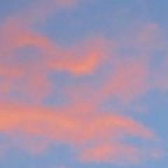 Welcome to Adiscon :: Adiscon