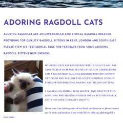 adoring ragdolls