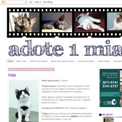 Guarda responsável, Antes e Depois, Nutrição, Saúde  Guarda responsável, Antes e Depois, Nutrição, Saúde