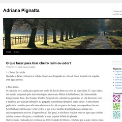 Sem categoria, Deixar um comentário, O que fazer para espantar moscas?, adrianapignatta  Sem categoria, Deixar um comentário, O que fazer para espantar moscas?, adrianapignatta