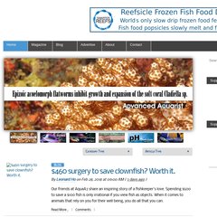  Sponsors, admin, Latest Issue, Feature Aquariums