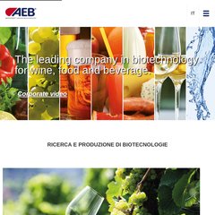 AEB GROUP AEB GROUP