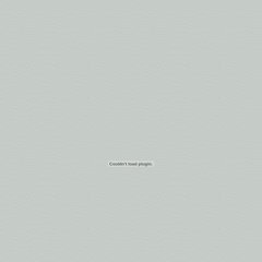 AES - American English School AES - American English School