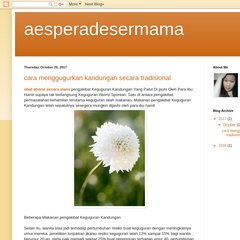  23:30, 23:20, Actualizações (1): O pequeno traquina, 15:33