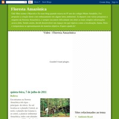aflorestaamazonica.blogspot.com Relevo, 16:19:00, 19:44:00