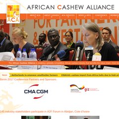 African Cashew Alliance - Home African Cashew Alliance - Home