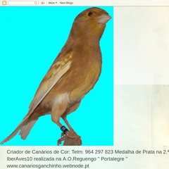 Estado de criações, Nascimento Primeiros Atletas, 2.º Exp. A.O.Elvas, Mensagens antigas Estado de criações, Nascimento Primeiros Atletas, 2.º Exp. A.O.Elvas, Mensagens antigas