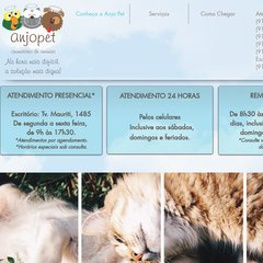 Home || Página Inicial