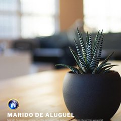 Marido de aluguel,serviços temporarios