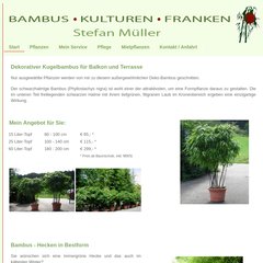 bambus kunstbaum Künstlicher Bambus - Lucia | 110 cm main image 0