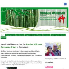 schwarze bambus Fargesia nitida Black Pearl kaufen – schwarzer Bambus – Gräserwelten main image 1