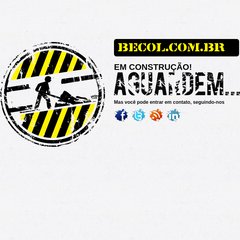 BECOL - Desenvolvimento de Comércio Eletrônico. BECOL - Desenvolvimento de Comércio Eletrônico.