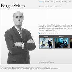 Berger Schatz - Chicago Divorce Attorney and Family Law Lawyer