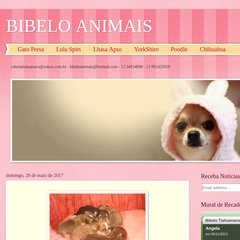 BIBELO ANIMAIS BIBELO ANIMAIS