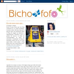 Bicho Fofo Bicho Fofo