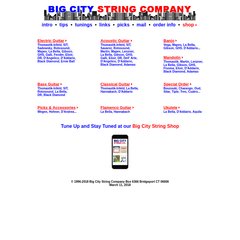 picks, order info, shop, Electric Guitar picks, order info, shop, Electric Guitar