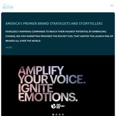 Corporate Branding Strategies - Big Fish Marketing - Personal Branding Corporate Branding Strategies - Big Fish Marketing - Personal Branding