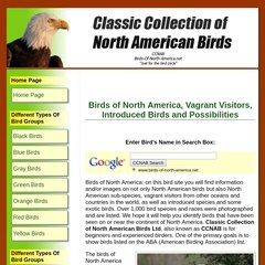  Auklets, Bananaquit, Bishop, Bitterns