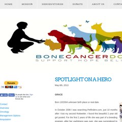 Bone Cancer Dogs