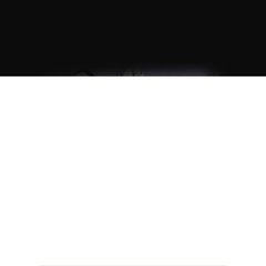 borovicka - Borovika | Bem vindo ao site