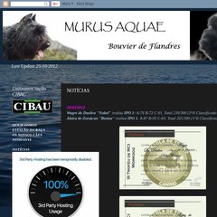Bouvier de Flandres MURUS AQUAE