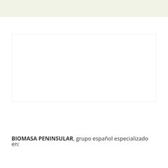 Biomasa Peninsular S. A.