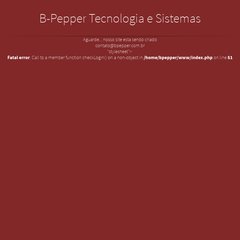 B-Pepper Tecnologia e Sistemas