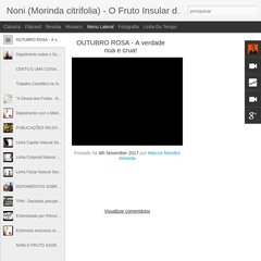 Noni - o Fruto Sagrado