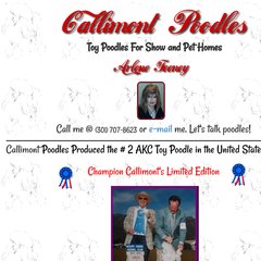 callimont poodles