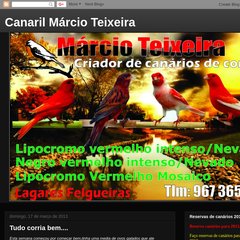 canariosdomarcio.blogspot.com Tenho para ceder 2 arlequim, 14:36, 0 comentários