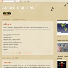 canaril matareis