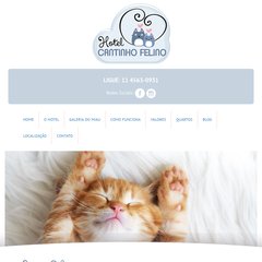 Cantinho Felino - Hotel Exclusivo para Gatos