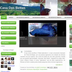 Casa Das Bettas