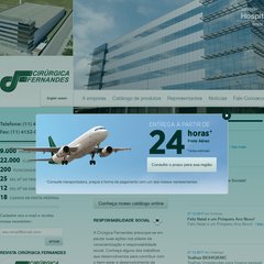 Cirúrgica Fernandes