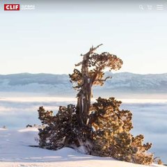 Clif Bar & Company | Leader in organic energy and nutrition foods and drinks