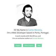 Carlos Moreira - WordPress Developer