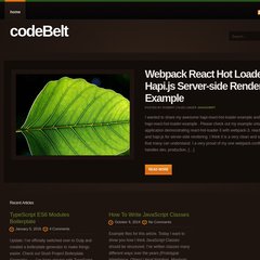 Manage Your Code Snippets with codeBelt | Code Examples / Tutorials / Articles