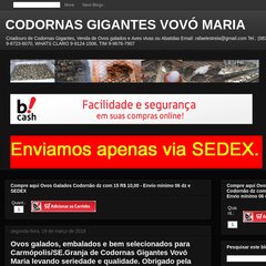 CODORNAS GIGANTES VOVÓ MARIA