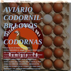 AVIÁRIO CODORNIL-BRJ OVOS E CODORNAS