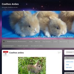 Coelhos Anões | Just another WordPress.com site