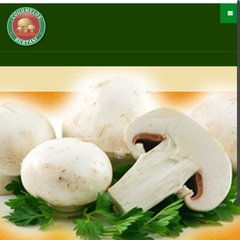  Fusilli ao Champignon