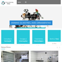 cvfenix.com.br C&atilde;es, Felinos, Aves